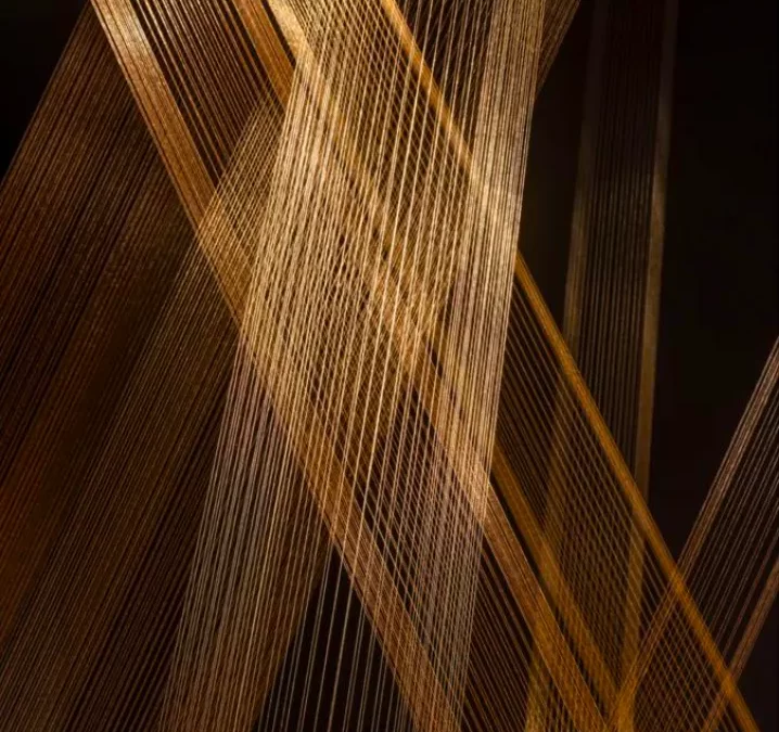 LYGIA PAPE, UNE OEUVRE COUSUE DE FILS D’OR